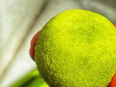 -好利来(团结湖店)