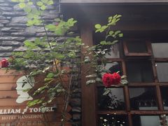 威廉的太妃糖酒店-威廉的太妃糖酒店(杭州西湖青芝坞店)