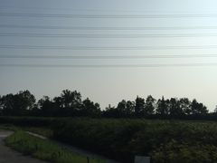 -桤木河湿地公园