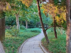 -八大关景区