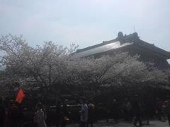 -武汉大学老图书馆