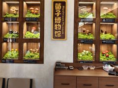 -菌自由丨野生菌火锅特色庭院餐厅(丽江古城店)