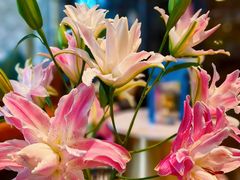 -德米火锅(深圳湾1号旗舰店)