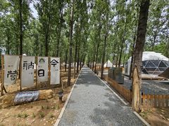 -森林小栈TreeStation露营基地
