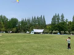 -前小桔亲子创意农场·草莓采摘·露营烧烤