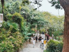 -上海佘山国家森林公园西佘山园