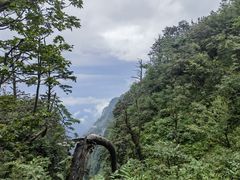 -峨眉山风景名胜区