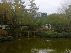 -秋霞圃