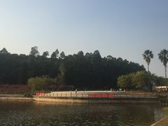 -南国桃园旅游度假区