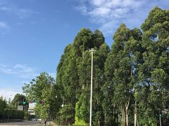 门面-茅草房·河畔园林火锅