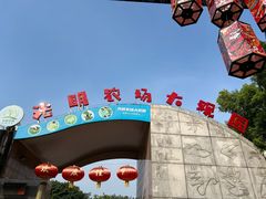 -光明农场大观园