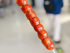 -和禄德冰糖葫芦