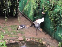 -西霞口神雕山野生动物世界