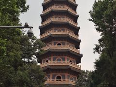 -灵谷景区