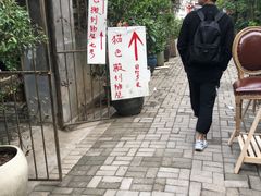 -猫色咖啡·猫咖