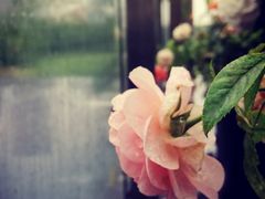 -艾溪湖湿地公园