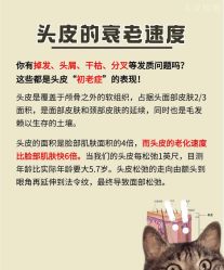 -Bollins波林丝•专研护发中心