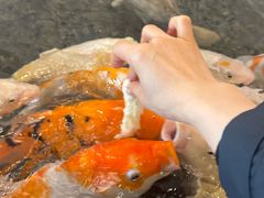 -中山国际酒店中餐厅