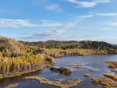 -五营红松林海景区