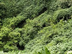 -海口火山口国家地质公园