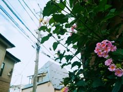 -灌篮高手动画打卡地