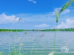 -春花秋色城市公园