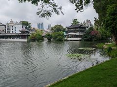 -荔湾湖公园