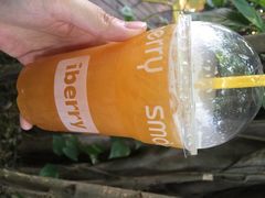 IBERRY-莓园冰淇淋店