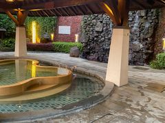 -天目湖涵田半山温泉