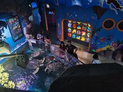 -烟台海昌鲸鲨海洋公园