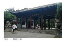 -莲湖公园