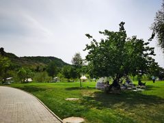 -潭柘厚院&山顶烤肉(潭柘寺店)