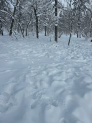 -大秃顶子山