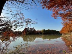 -上海海湾国家森林公园