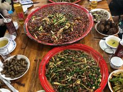 尖椒兔-东吴霸王兔(松青路店)