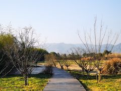 -良渚古城遗址公园