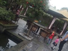 -梧桐花园餐厅(新城店)