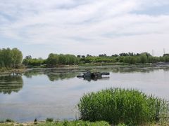 -马家湾湿地公园