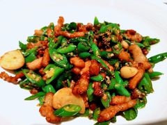 藤椒炒肉-太二酸菜鱼(长沙IFS国金中心店)