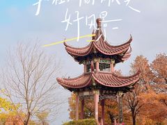 -北宫国家森林公园