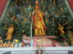 -南宁良凤江国家森林公园