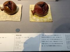-东京国立博物馆