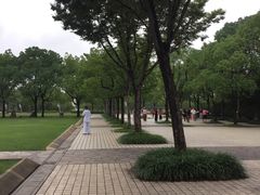 -新江湾城公园