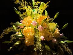 -三号黄浦会Canton Table