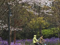 -上海滨江森林公园