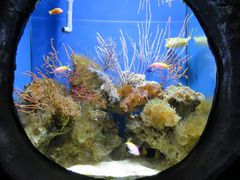 -南昌海洋公园