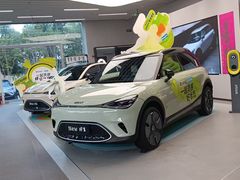 -上海浦东smart汽车全功能店(金桥店)