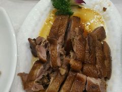-鹅城