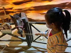 -酷嗒动物文化乐园(cutezoo西溪乐天城店)