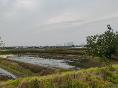 -海鸥岛